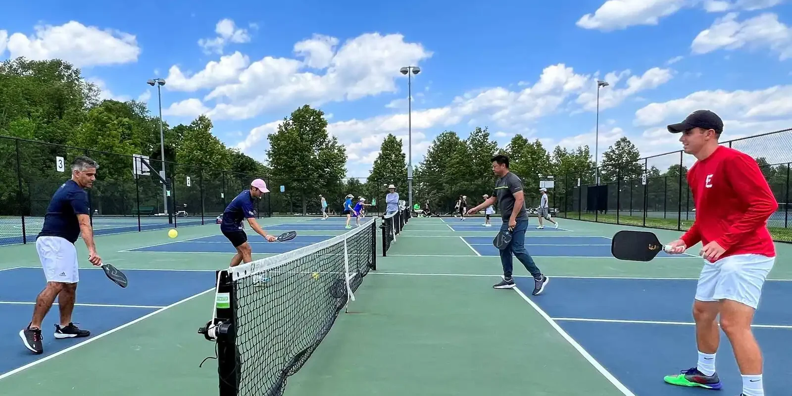 From Hollywood to Courtside- Celebrities Embrace Pickleball